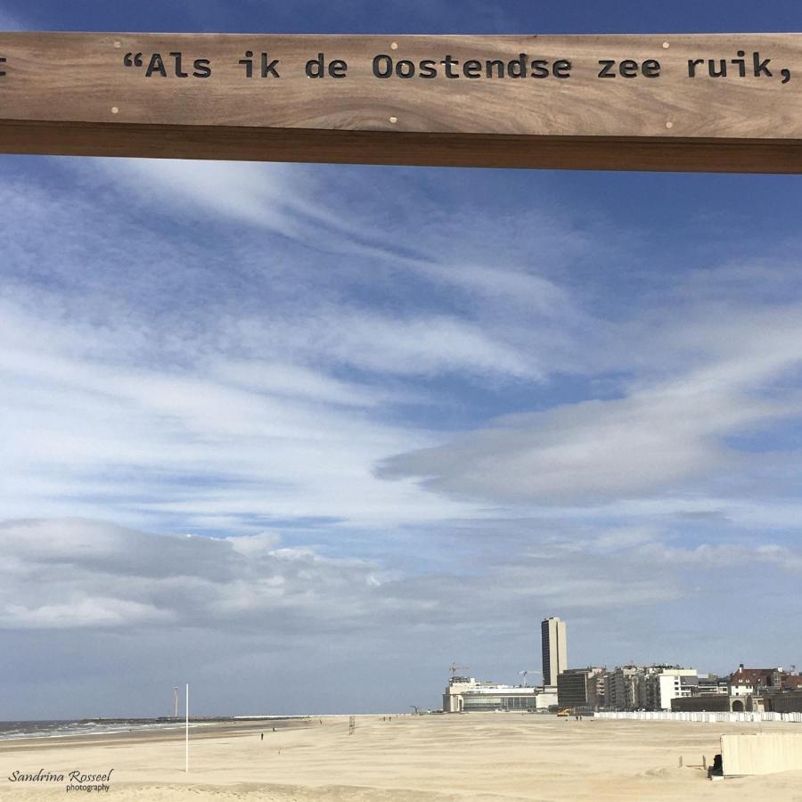 Knappe Studio Met Subliem Zeezicht! Oostende Exterior foto